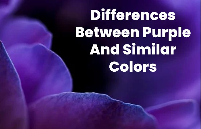 Differences Between Purple And Similar Colors