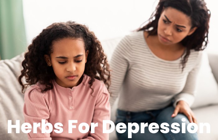 Herbs For Depression