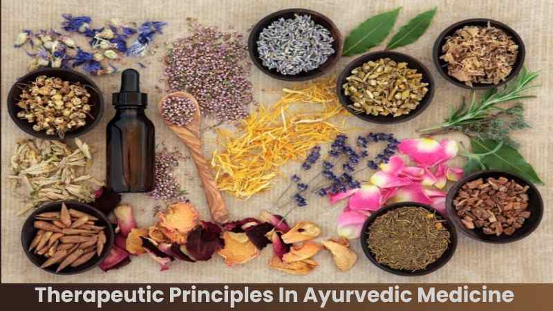 Therapeutic Principles In Ayurvedic Medicine