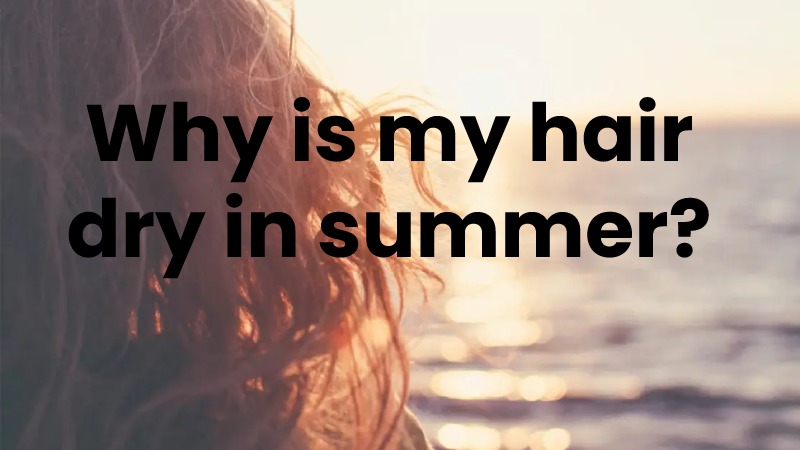 Why is my hair dry in summer_