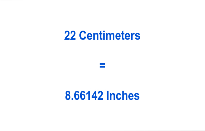 How Much are 22 Centimeters in Inches_