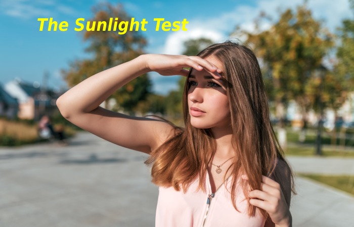 The Sunlight Test