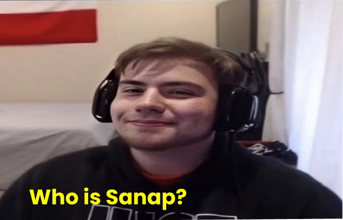 who is sapnap skin
