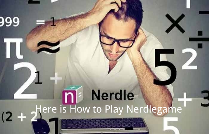 Information about Nerdle game