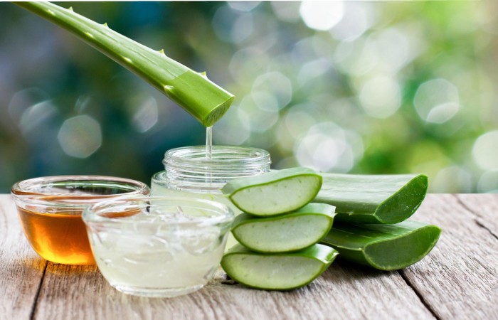 Organic Aloe Vera Gel Write for Us