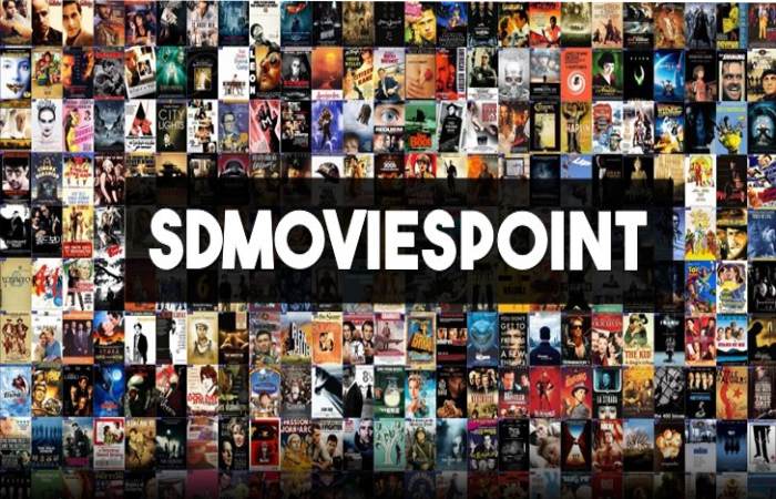 About Sd Movies Point