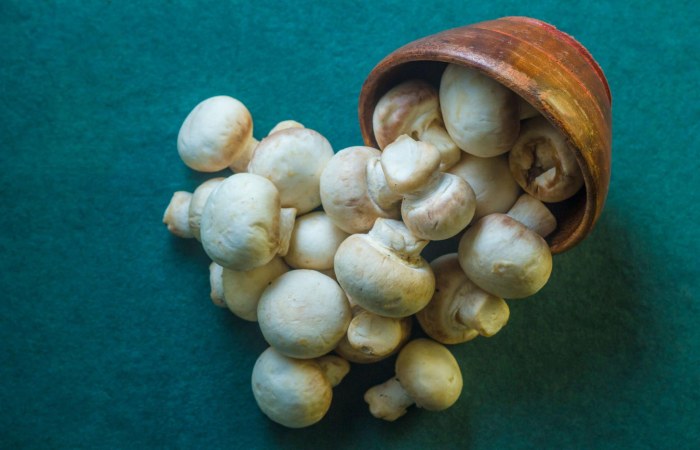 Mushrooms Write For Us