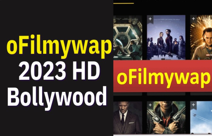 How Can I Download Movies From the Ofilmywap Website_