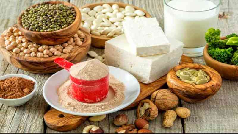 vegetarian protein sources